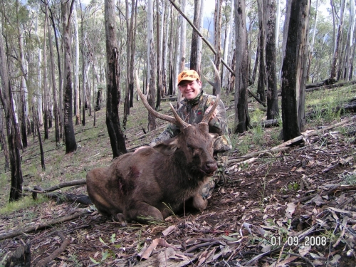 Brett Cooke - Sambar Deer Success Story