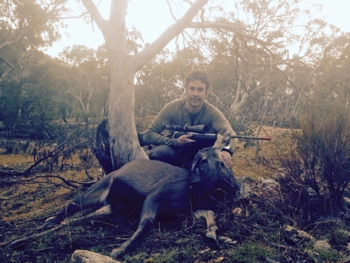 Dave Parker - Sambar Deer Success Story