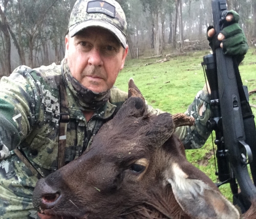 Des Buckhurst - Sambar Deer Success Story