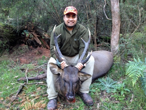 Mafi Parutua - Sambar Deer Success Story