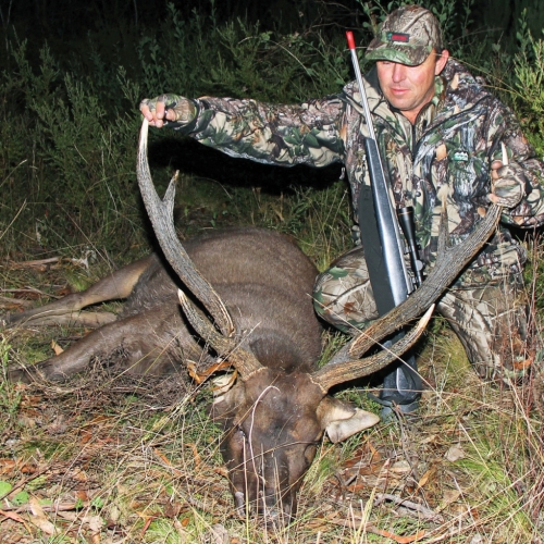 Matt Sheffield - Sambar Deer Success Story
