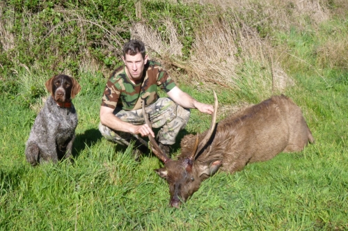 Michael Pritchard, Melbourne - Sambar Deer Success Story