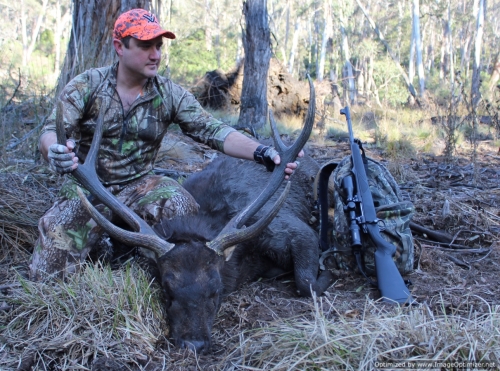 Steve Kruger - Sambar Deer Success Story