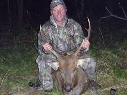 Jim Colquhoun - Sambar Deer Success Story