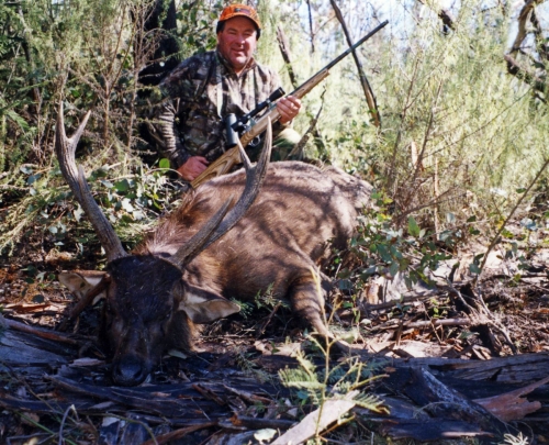Mark Rhode - Sambar Deer Success Story