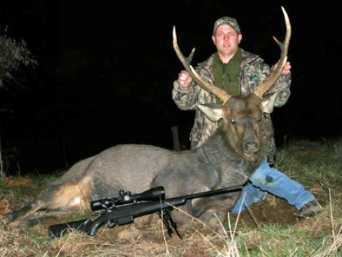 Andrew and Luke McMahon - Sambar Deer Success Story