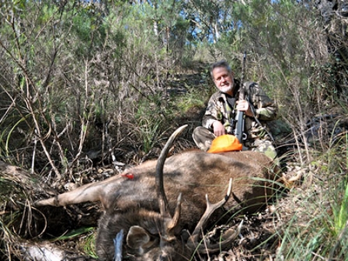 Robert Borsak - Sambar Deer Success Story